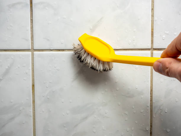 Best Fast Mold Removal  in Philomath, OR