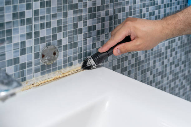 Best Local Mold Removal Service  in Philomath, OR