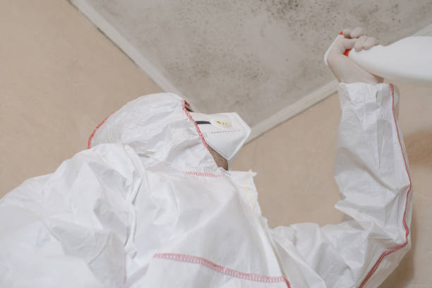 Best Toxic Mold Removal  in Philomath, OR